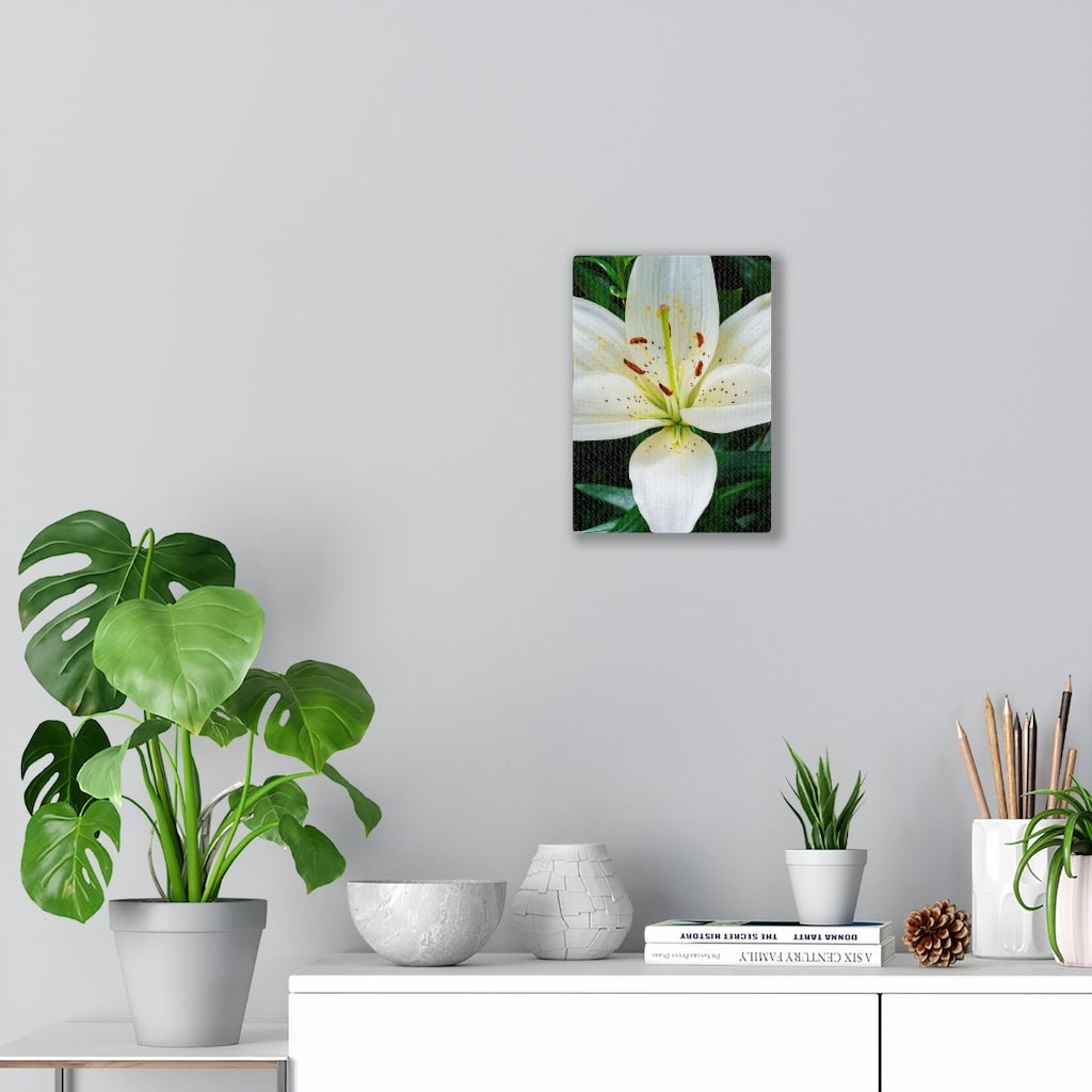 White Lily - Canvas - Visiting This World