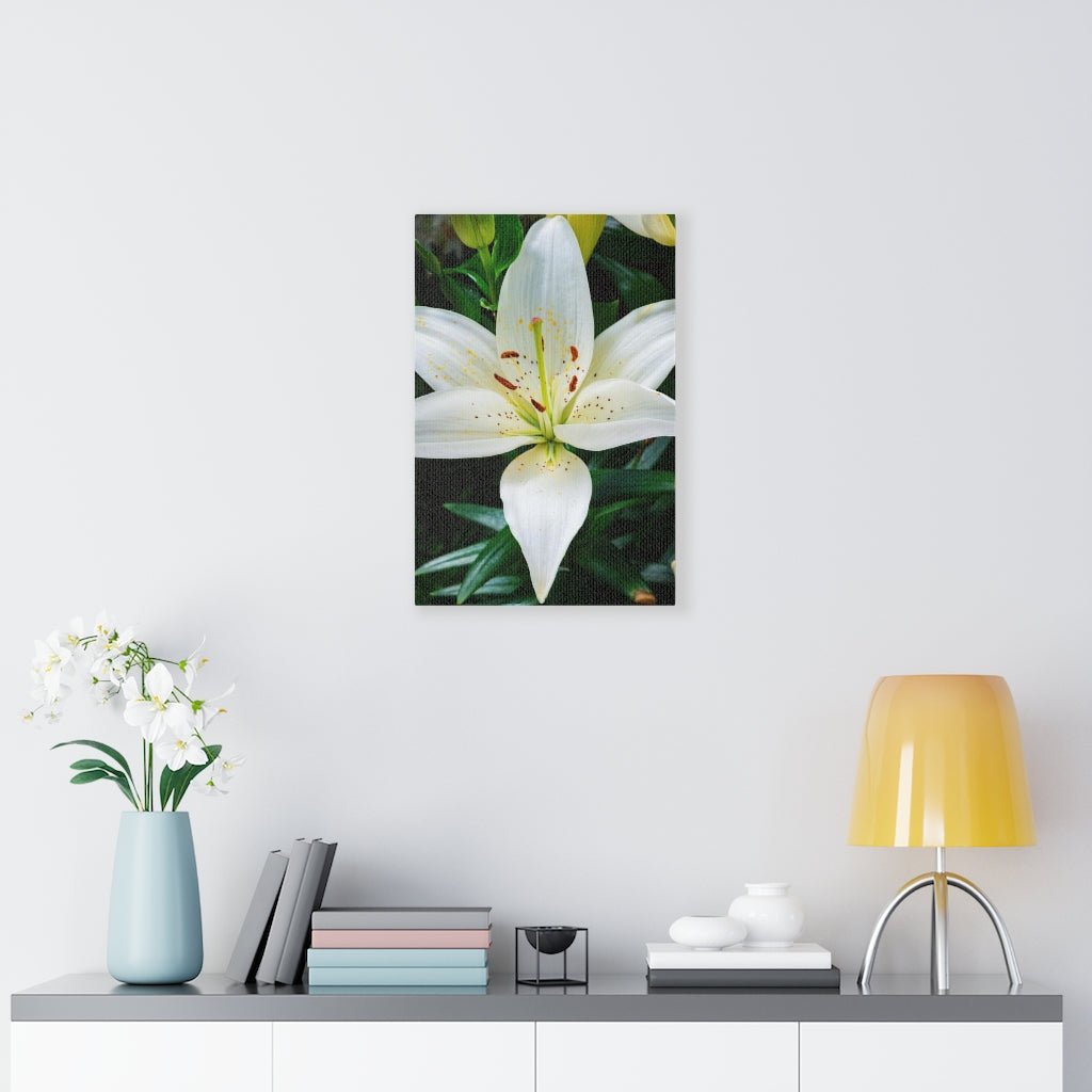 White Lily - Canvas - Visiting This World