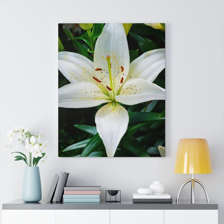 White Lily - Canvas - Visiting This World