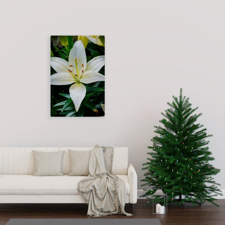 White Lily - Canvas - Visiting This World