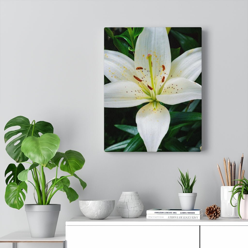 White Lily - Canvas - Visiting This World