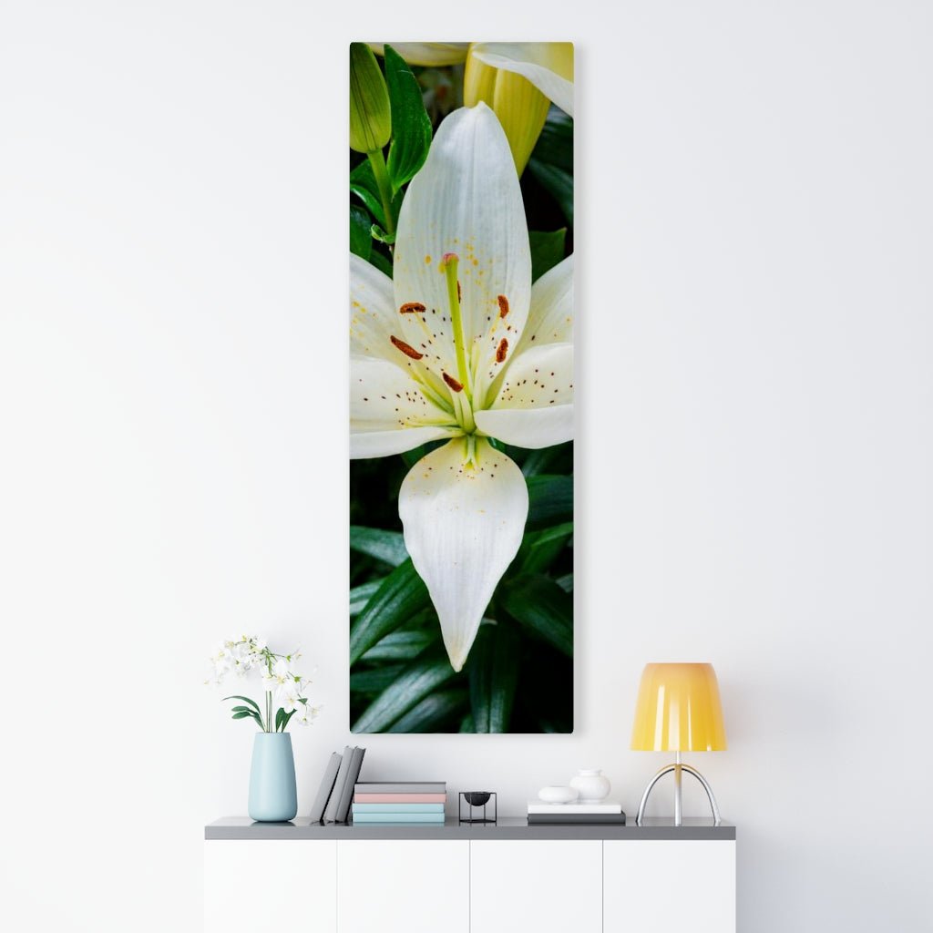 White Lily - Canvas - Visiting This World