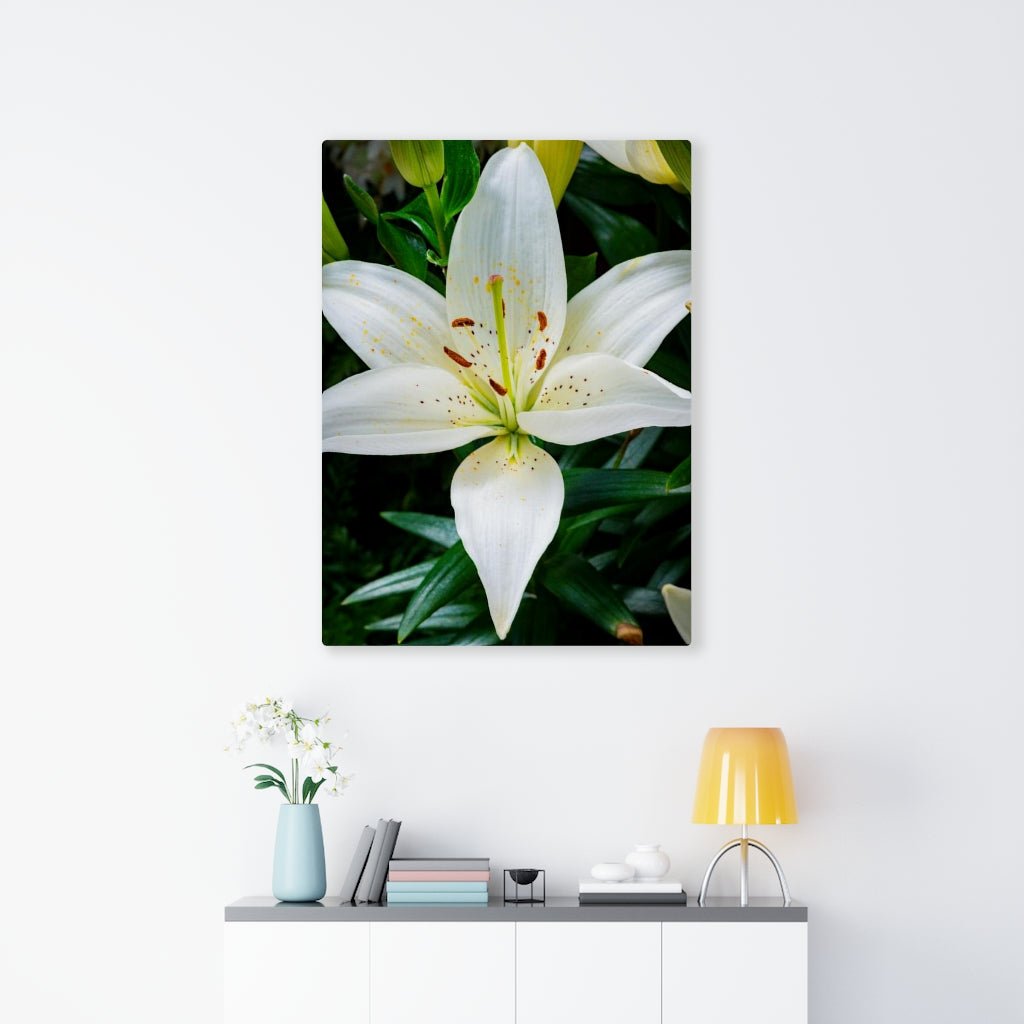 White Lily - Canvas - Visiting This World