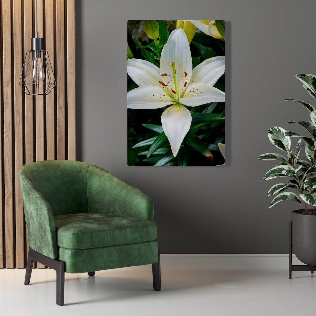 White Lily - Canvas - Visiting This World