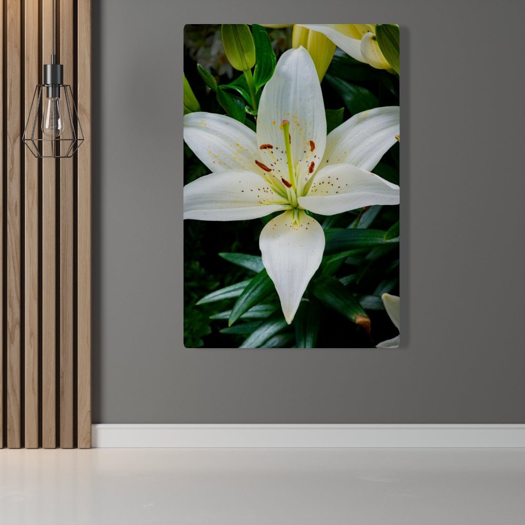 White Lily - Canvas - Visiting This World