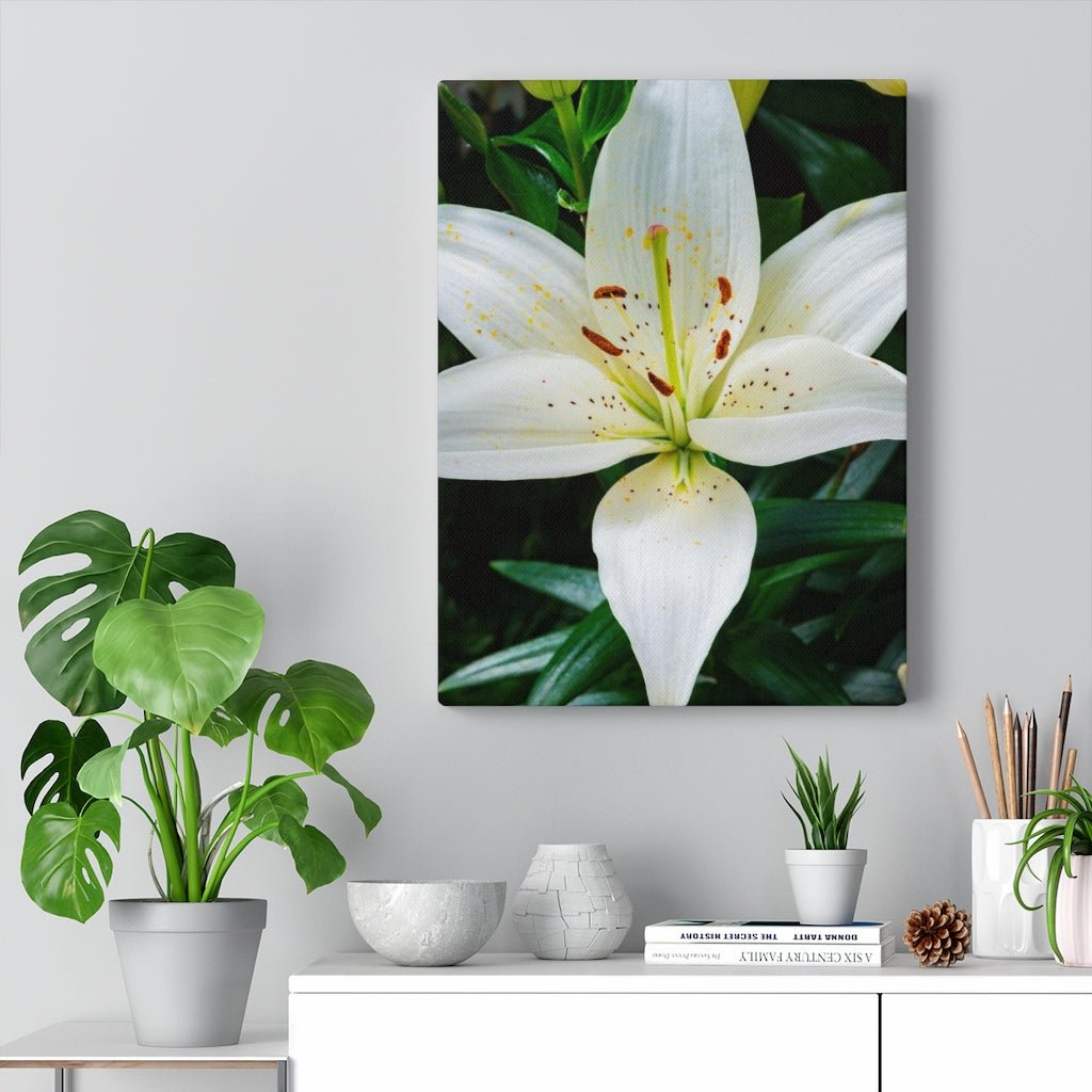 White Lily - Canvas - Visiting This World