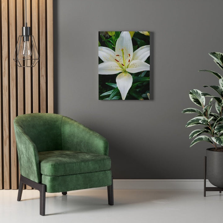 White Lily - Canvas - Visiting This World