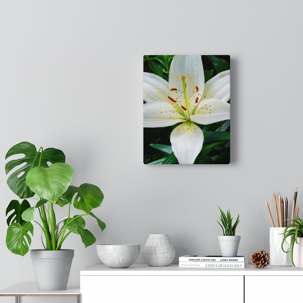 White Lily - Canvas - Visiting This World