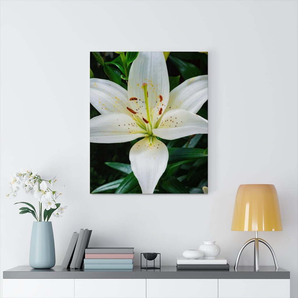 White Lily - Canvas - Visiting This World