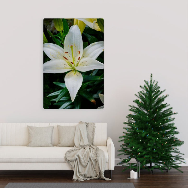 White Lily - Canvas - Visiting This World