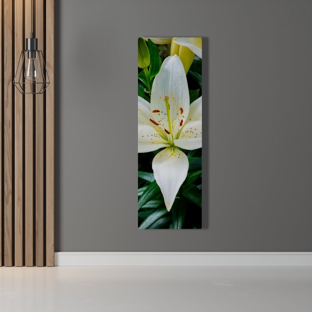 White Lily - Canvas - Visiting This World