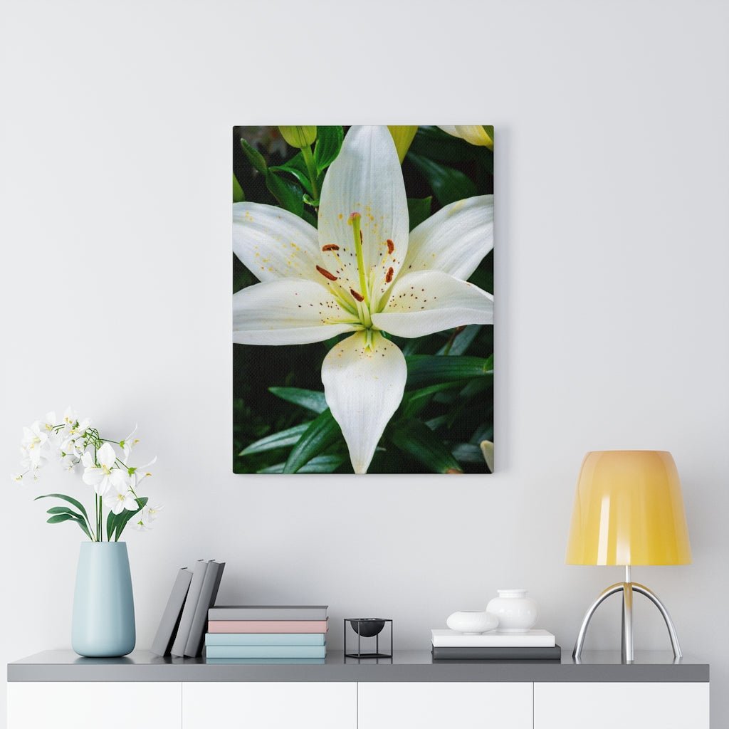 White Lily - Canvas - Visiting This World