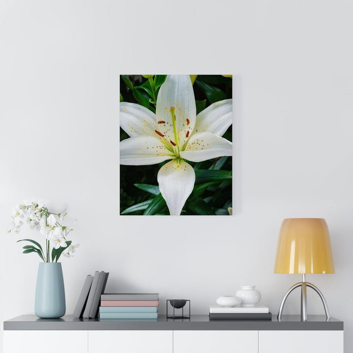 White Lily - Canvas - Visiting This World