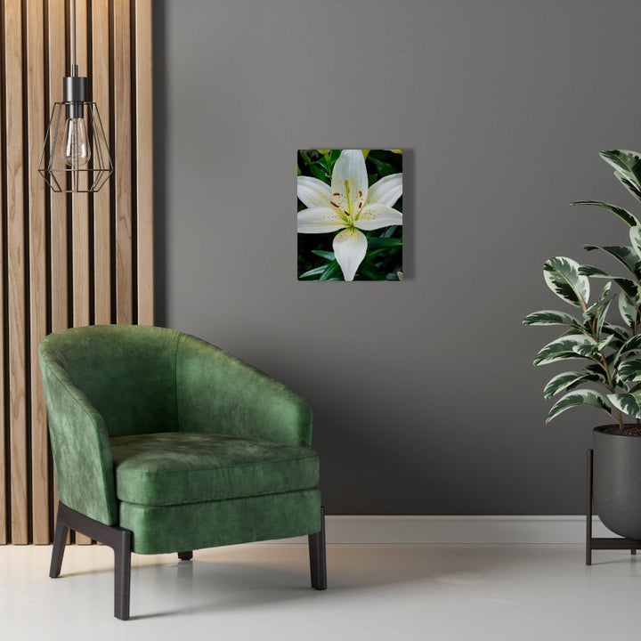 White Lily - Canvas - Visiting This World