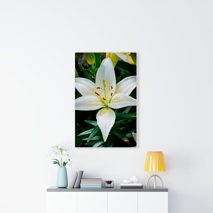 White Lily - Canvas - Visiting This World