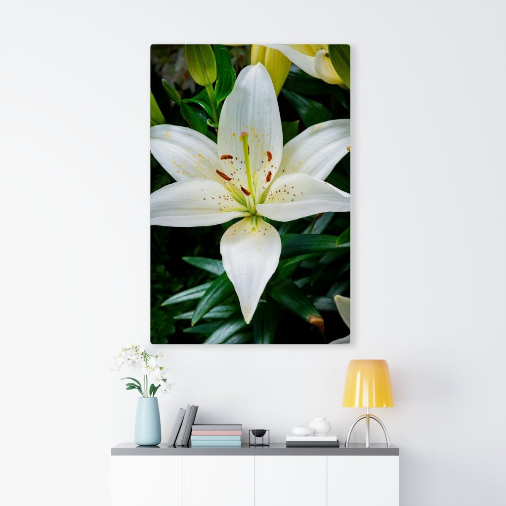 White Lily - Canvas - Visiting This World