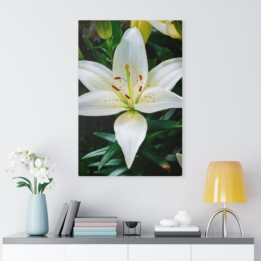 White Lily - Canvas - Visiting This World