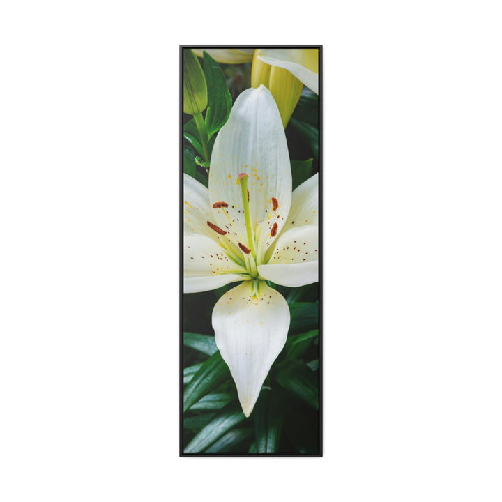 White Lily - Canvas with Frame - Visiting This World