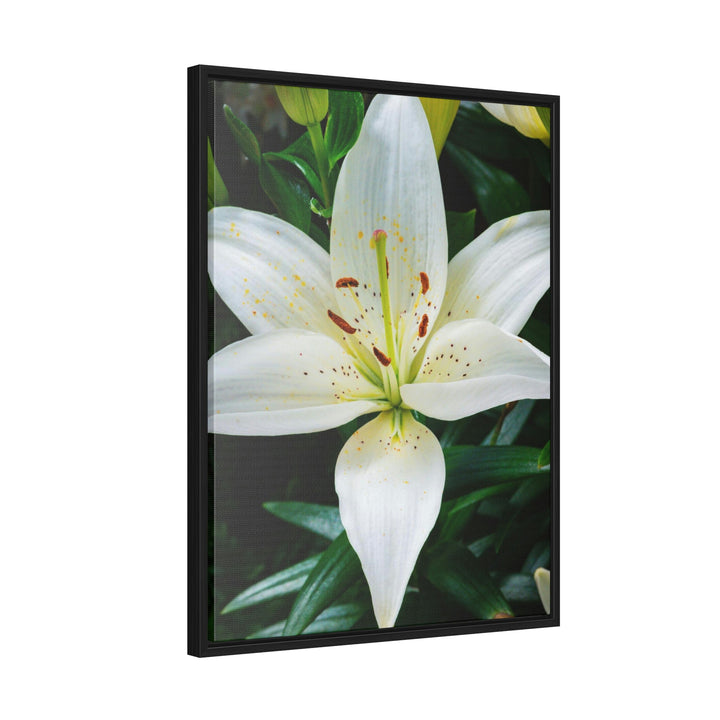 White Lily - Canvas with Frame - Visiting This World