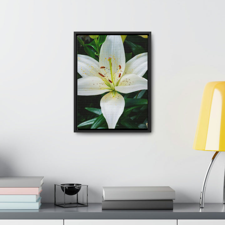 White Lily - Canvas with Frame - Visiting This World