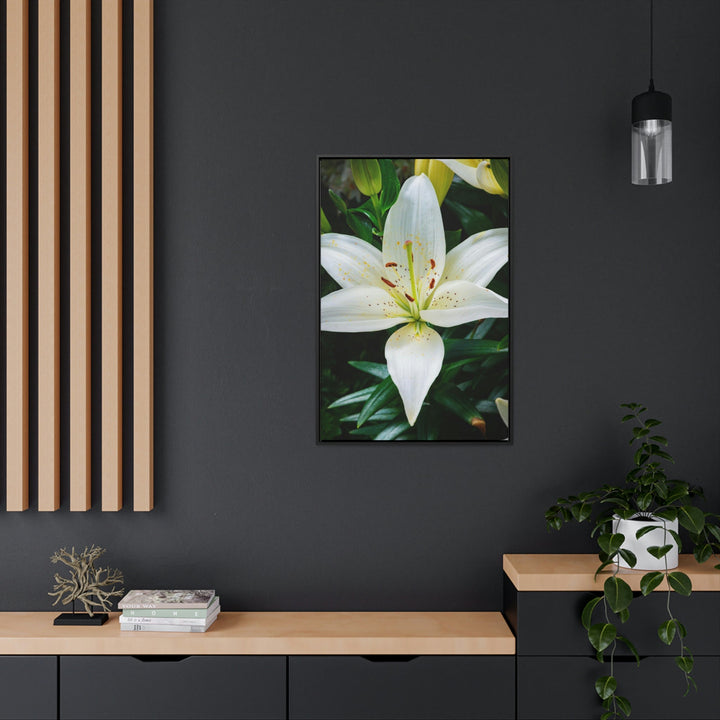 White Lily - Canvas with Frame - Visiting This World