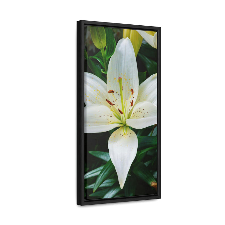 White Lily - Canvas with Frame - Visiting This World