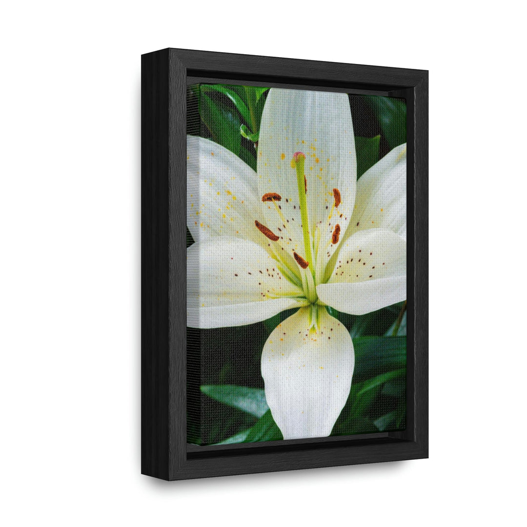 White Lily - Canvas with Frame - Visiting This World