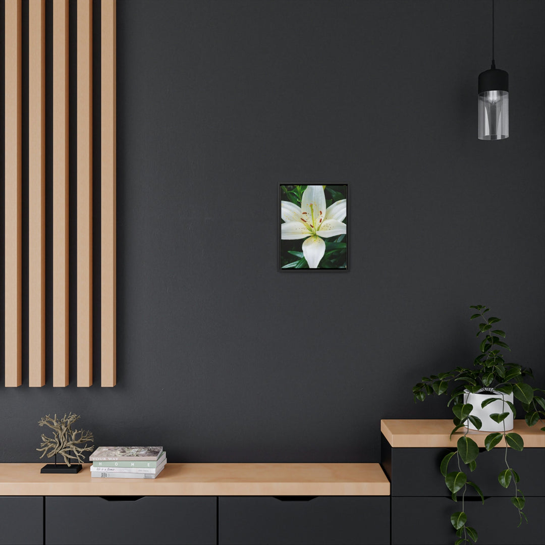 White Lily - Canvas with Frame - Visiting This World