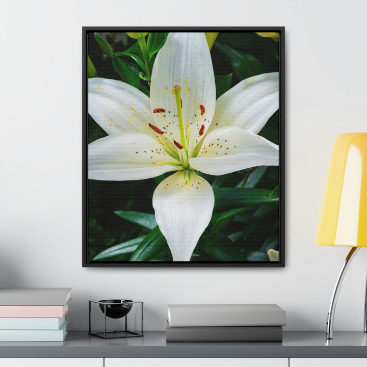 White Lily - Canvas with Frame - Visiting This World