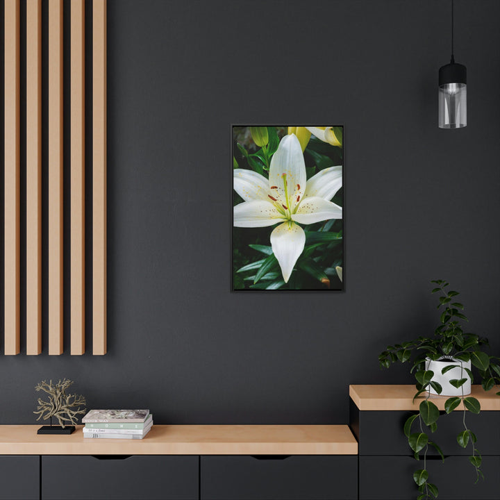 White Lily - Canvas with Frame - Visiting This World