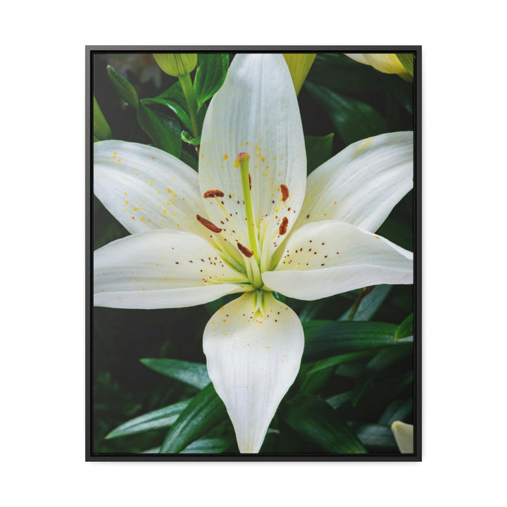 White Lily - Canvas with Frame - Visiting This World