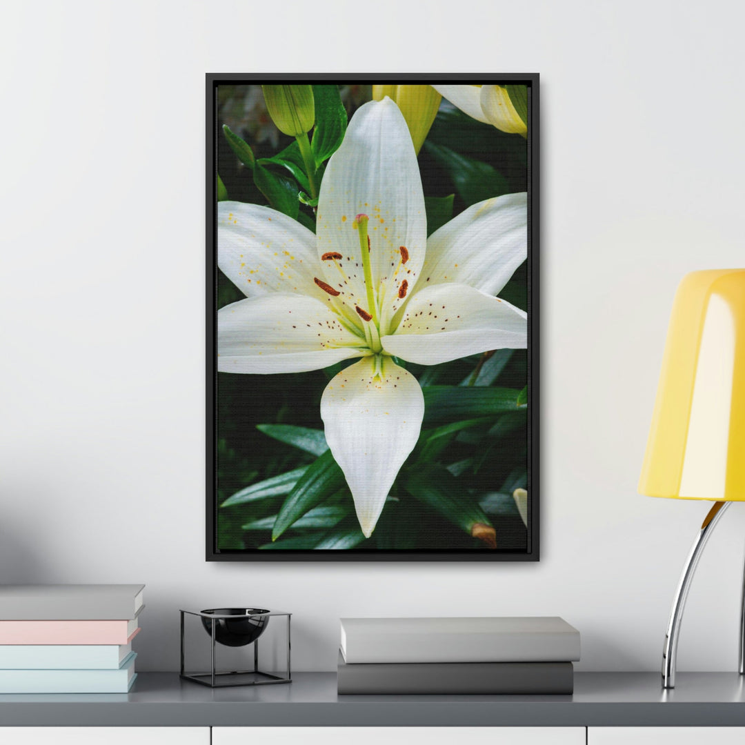 White Lily - Canvas with Frame - Visiting This World