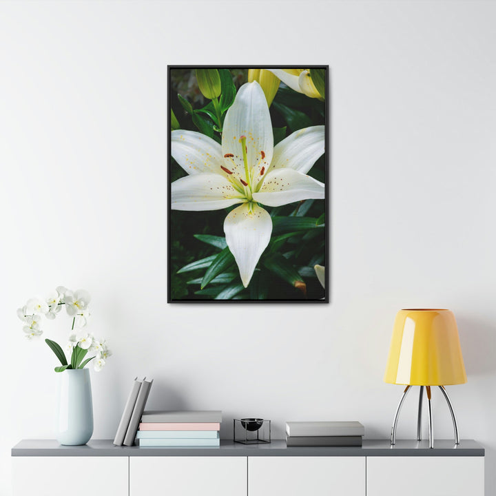 White Lily - Canvas with Frame - Visiting This World