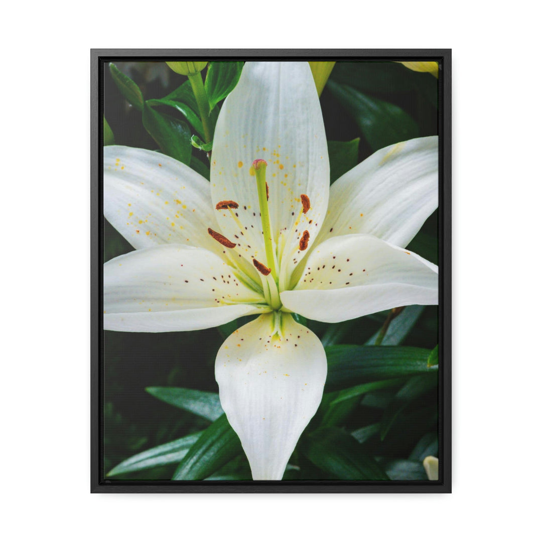 White Lily - Canvas with Frame - Visiting This World