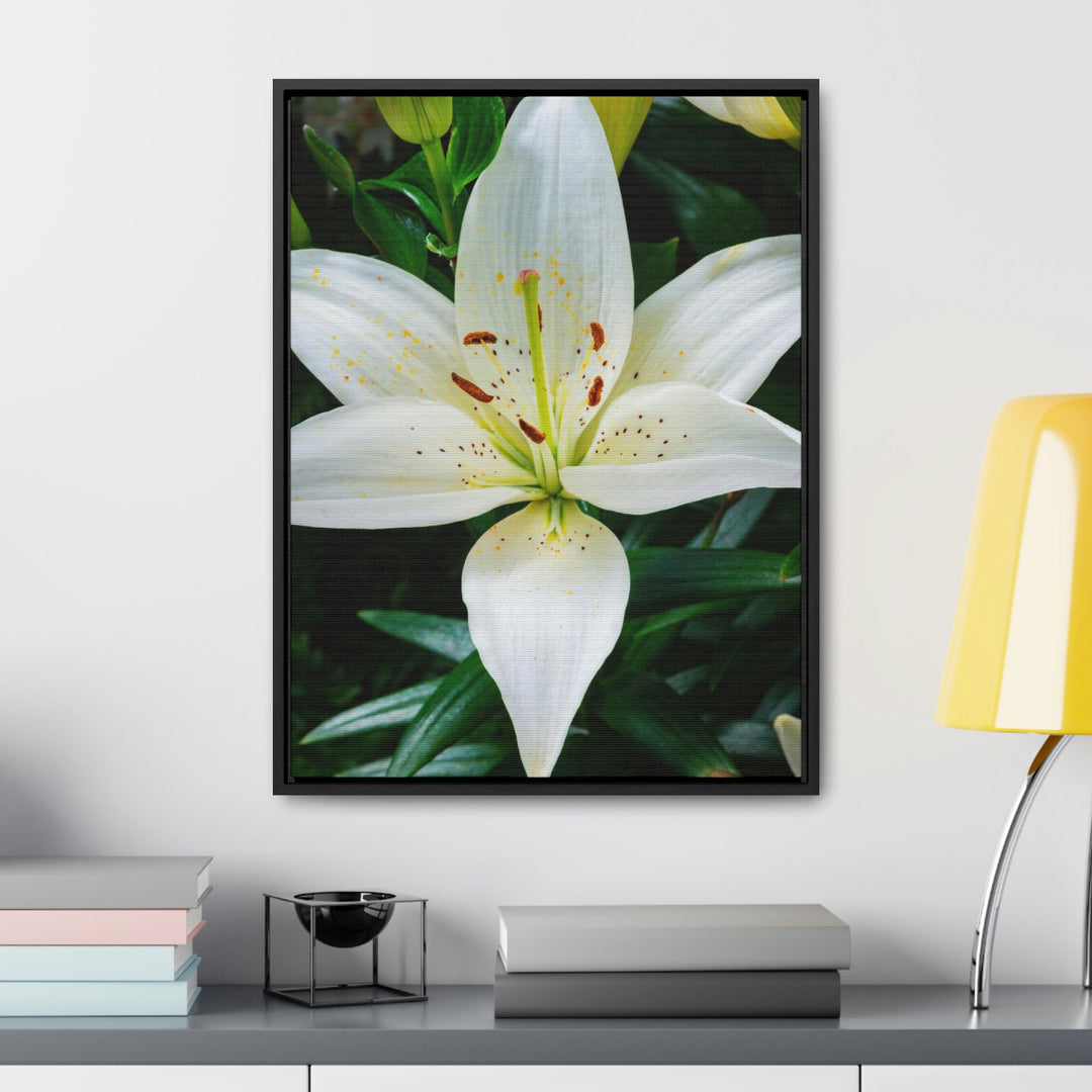 White Lily - Canvas with Frame - Visiting This World