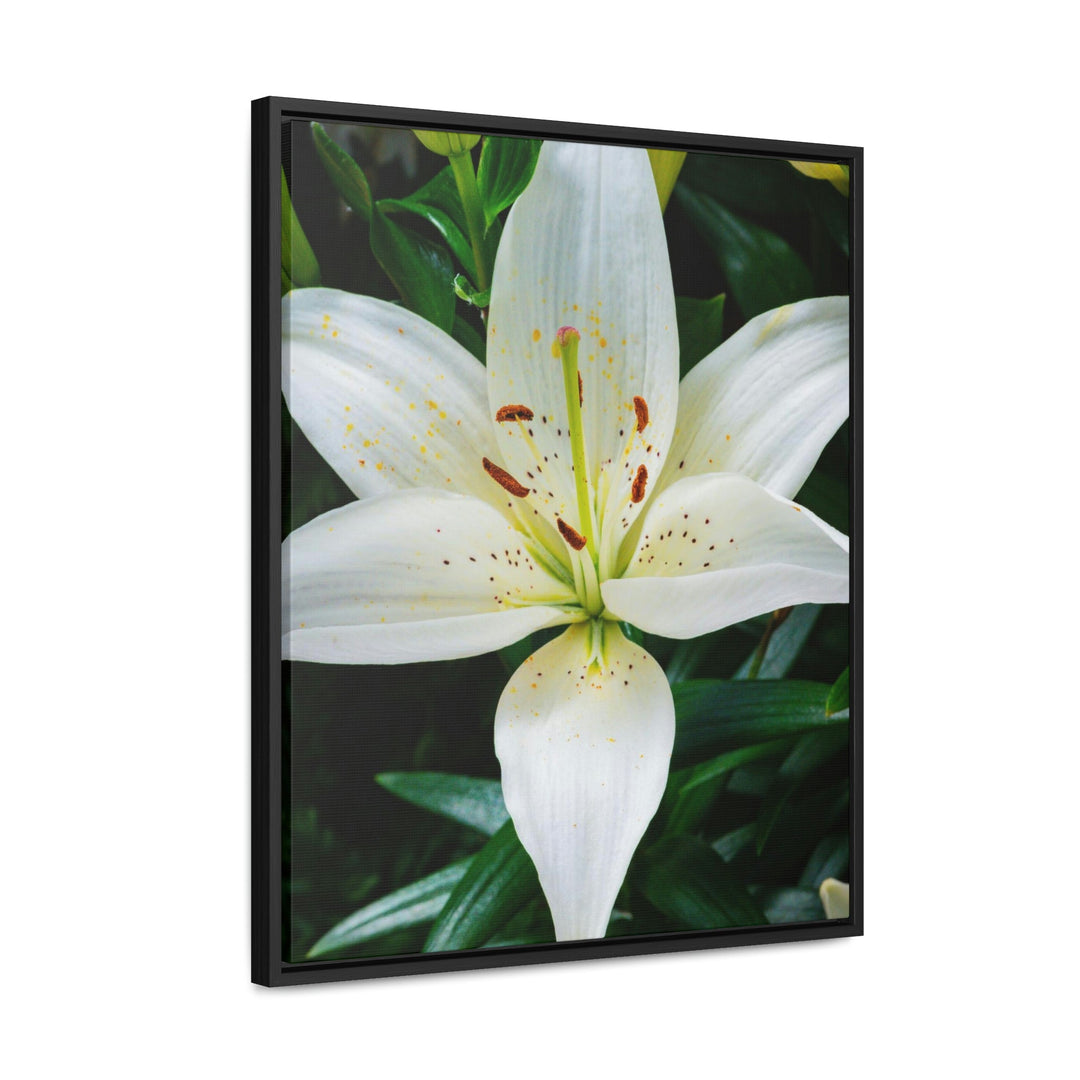 White Lily - Canvas with Frame - Visiting This World