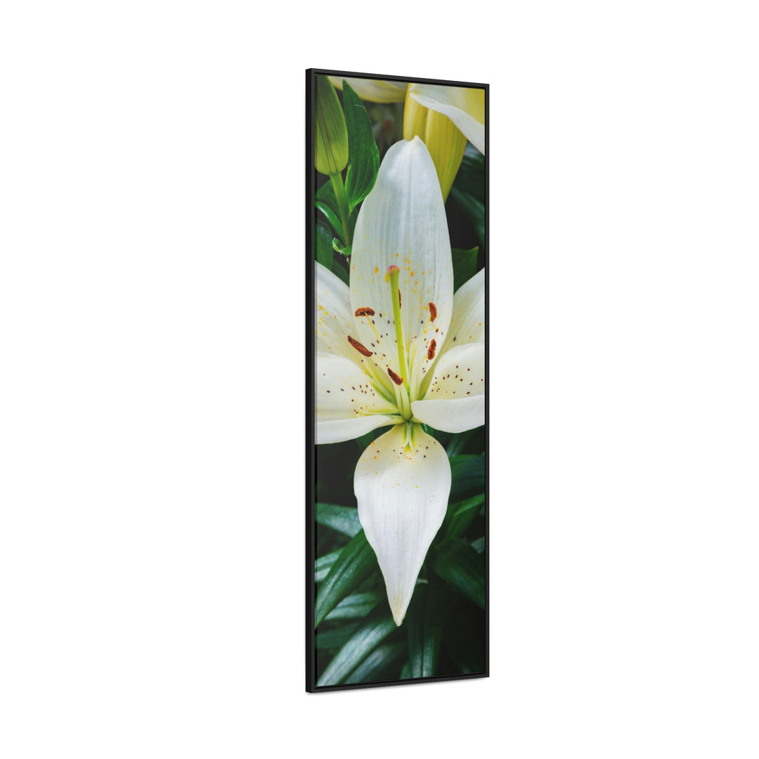 White Lily - Canvas with Frame - Visiting This World