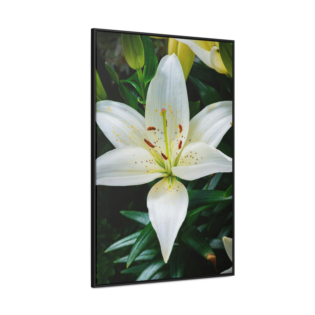 White Lily - Canvas with Frame - Visiting This World