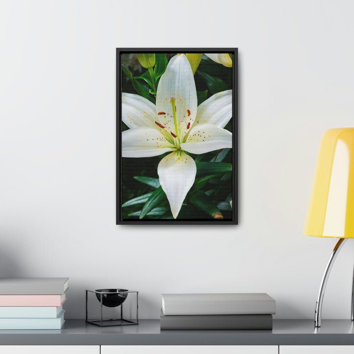 White Lily - Canvas with Frame - Visiting This World