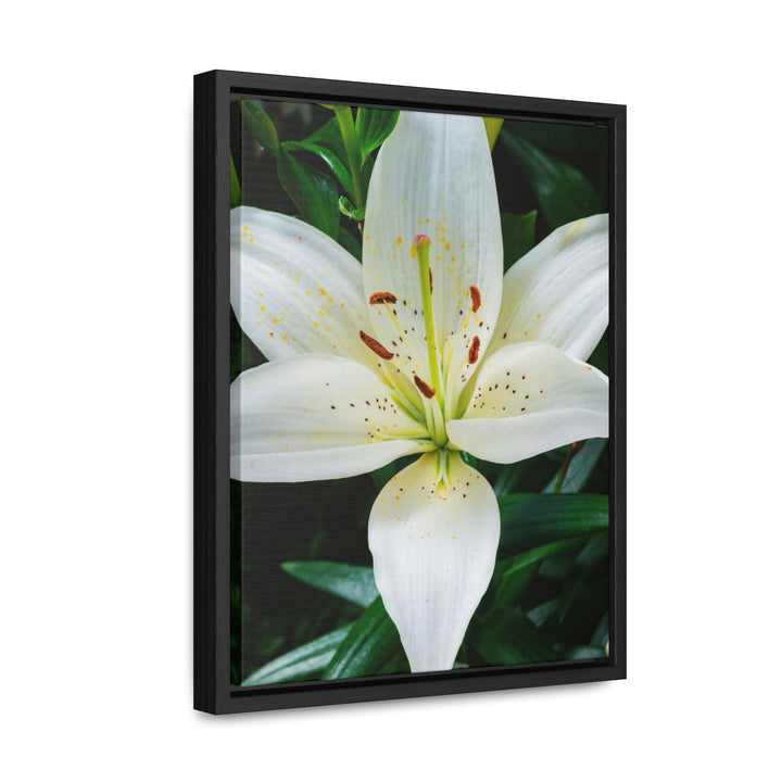 White Lily - Canvas with Frame - Visiting This World