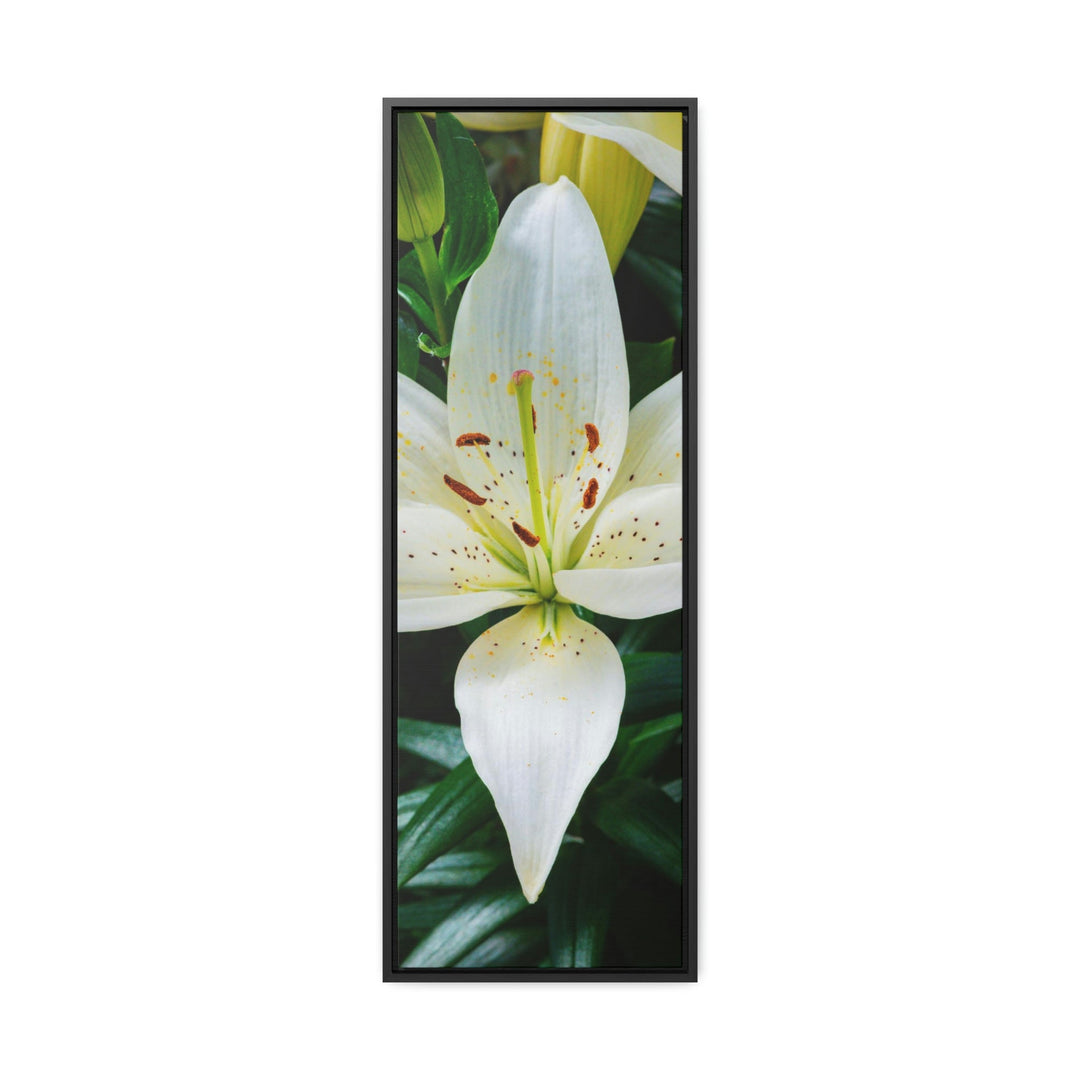 White Lily - Canvas with Frame - Visiting This World