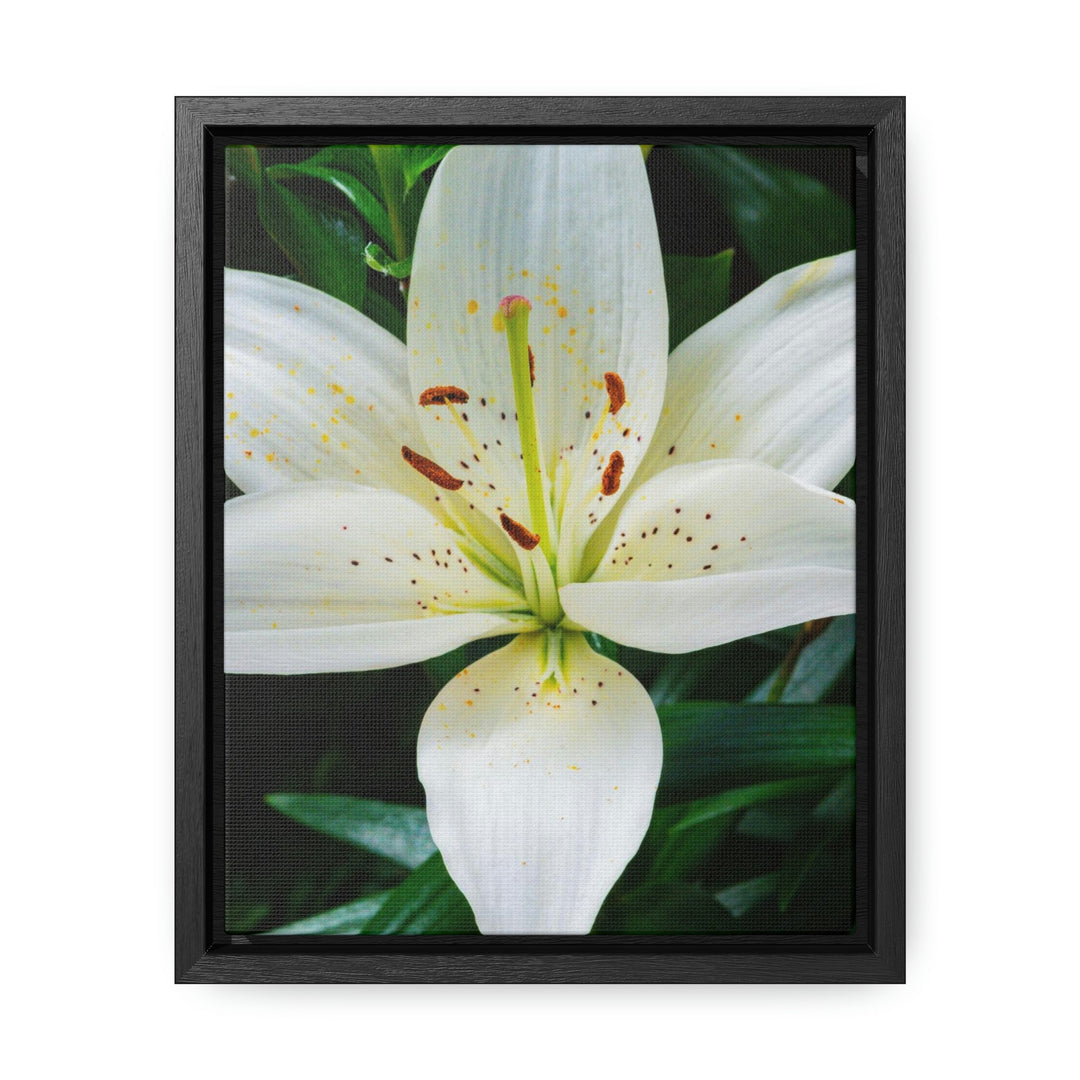 White Lily - Canvas with Frame - Visiting This World