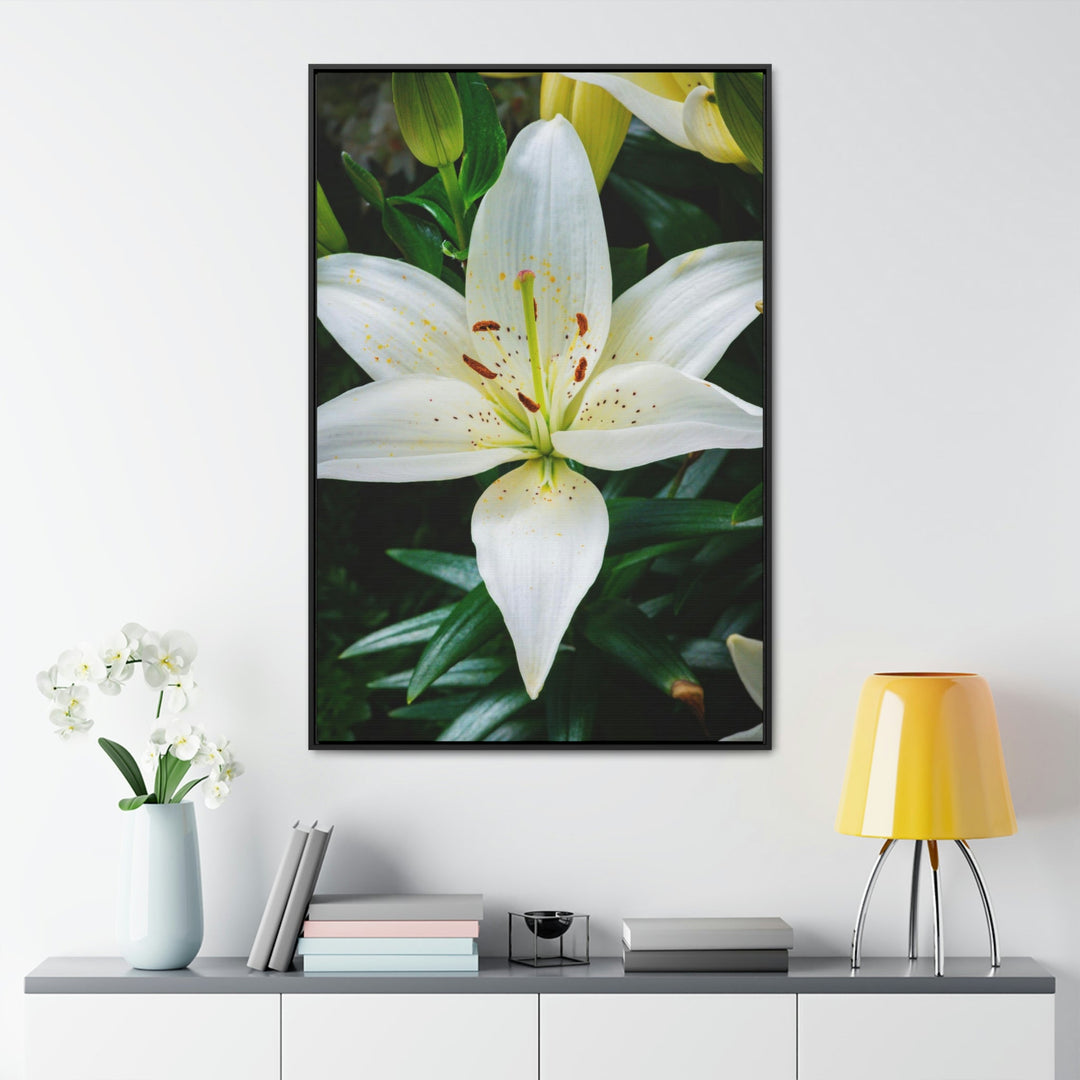 White Lily - Canvas with Frame - Visiting This World