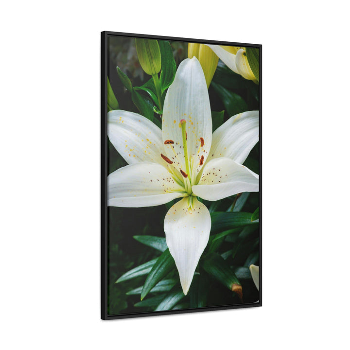 White Lily - Canvas with Frame - Visiting This World