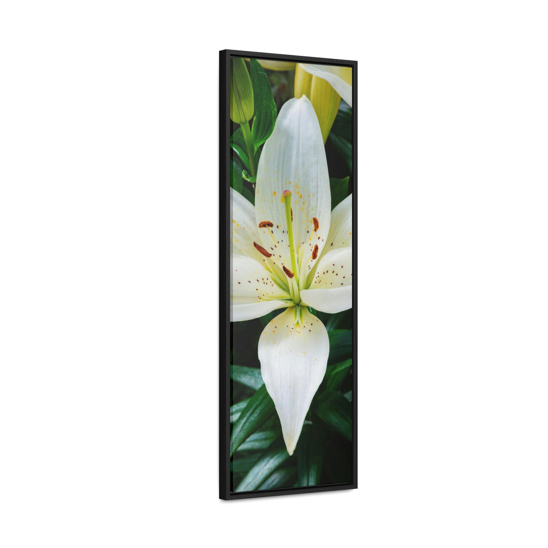 White Lily - Canvas with Frame - Visiting This World