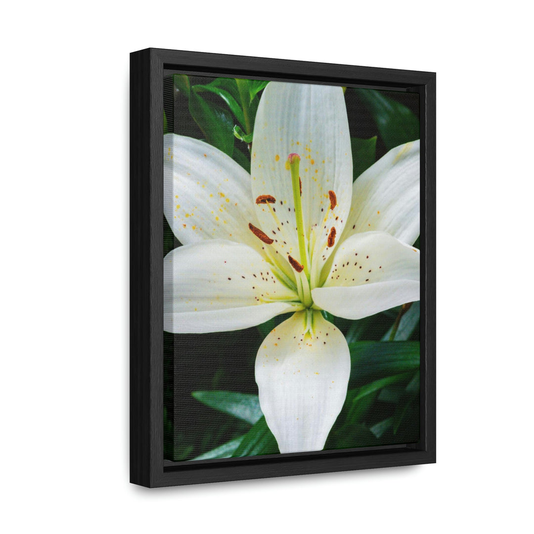 White Lily - Canvas with Frame - Visiting This World