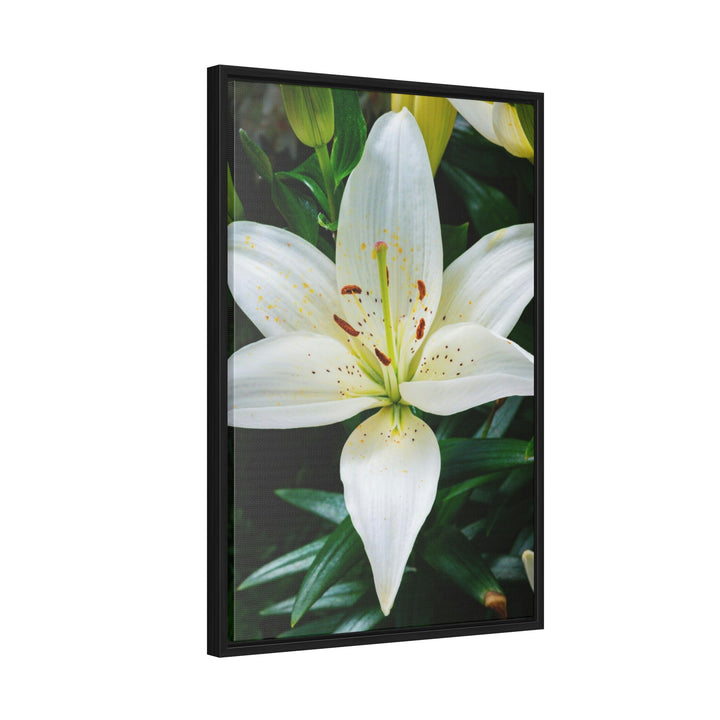 White Lily - Canvas with Frame - Visiting This World