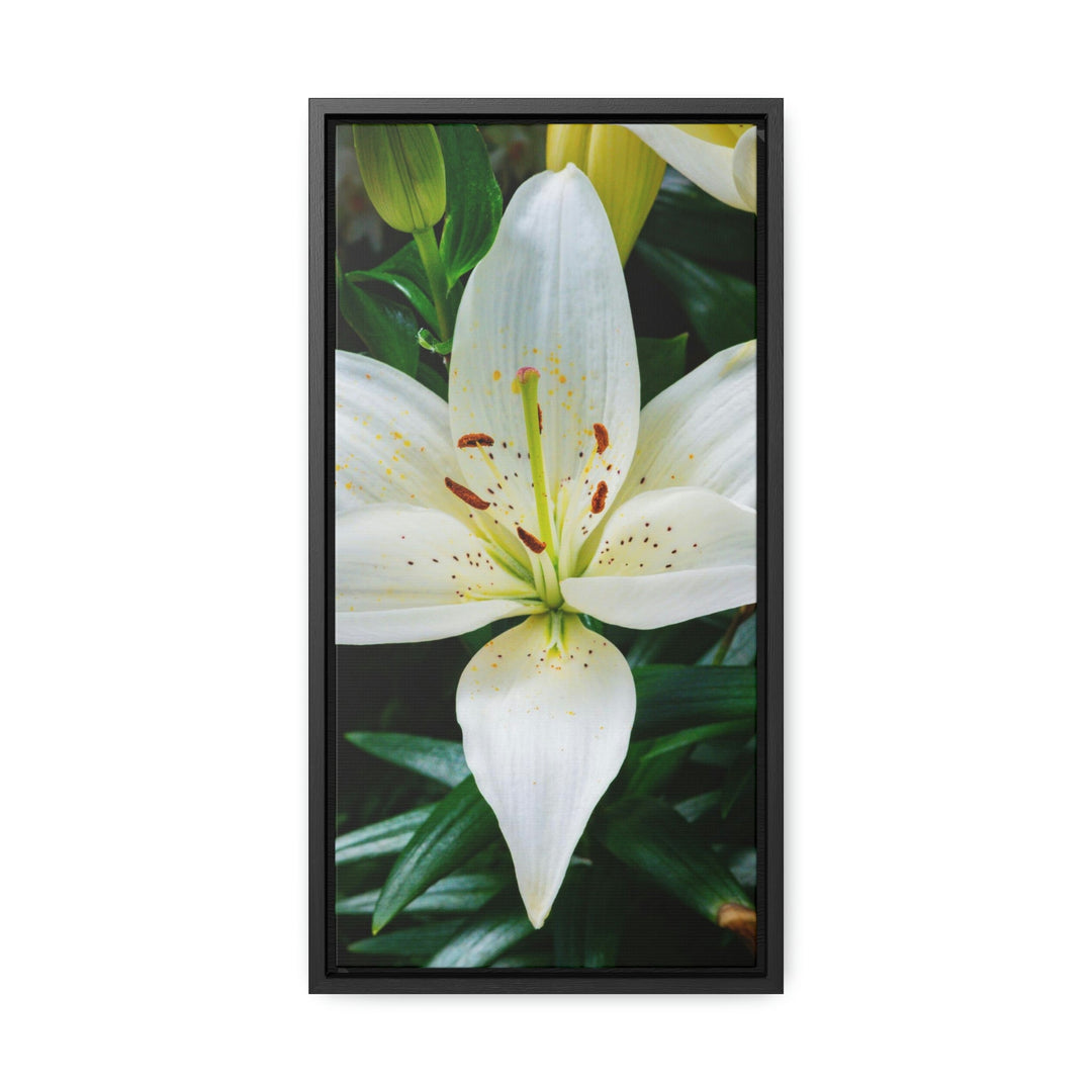 White Lily - Canvas with Frame - Visiting This World