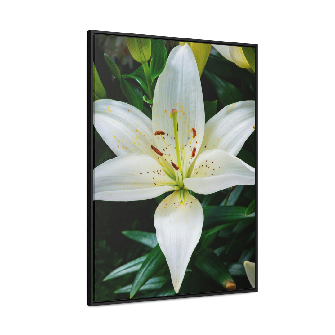 White Lily - Canvas with Frame - Visiting This World