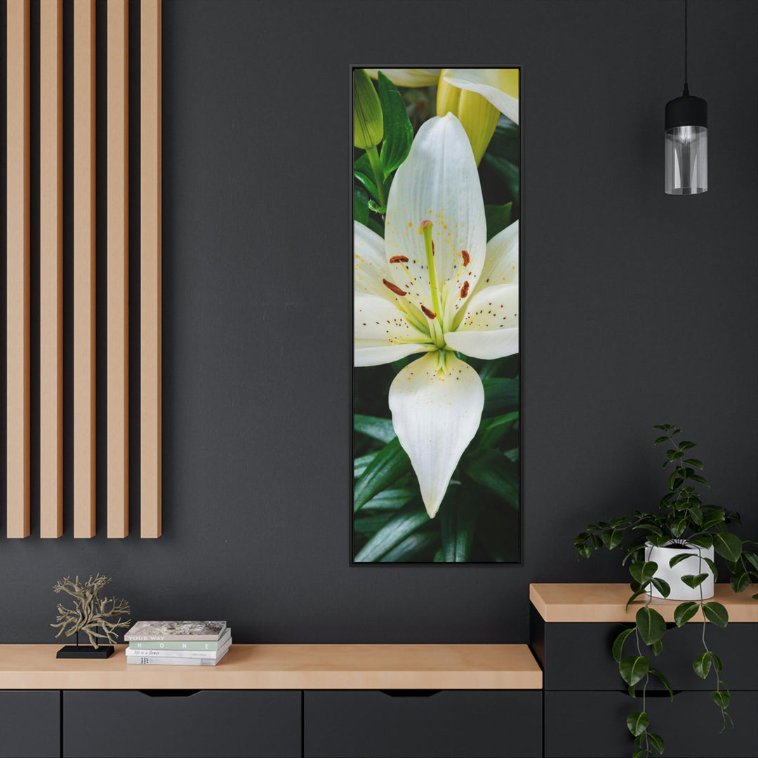 White Lily - Canvas with Frame - Visiting This World